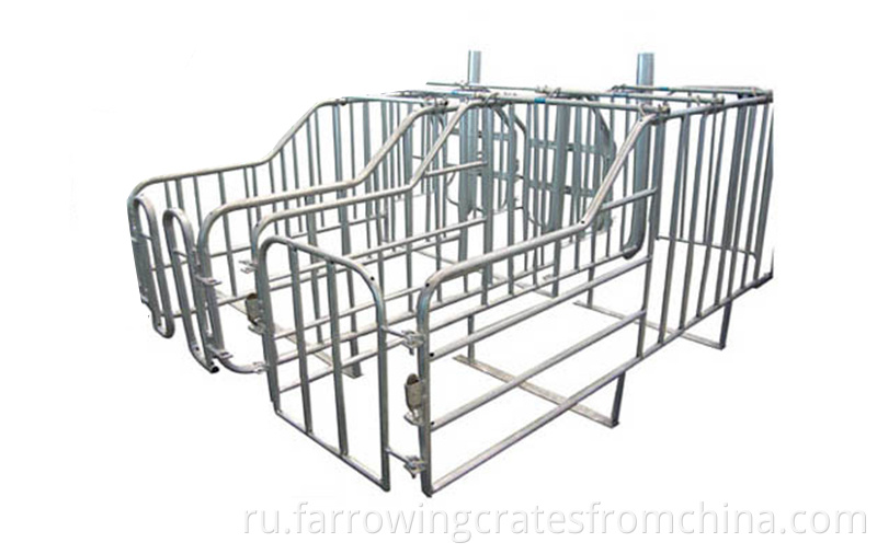 pig cages